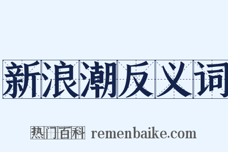 新浪潮反义词是什么意思的图片